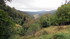 La vallée du Bonheur