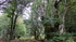 La vallée du Bonheur