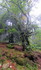 La vallée du Bonheur