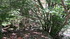 Le sentier des 4000 marches