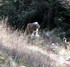 Le sentier des 4000 marches