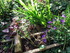 Au jardin