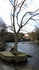 La Sorgue
