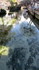 La Sorgue