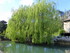 Du côté d'Anduze