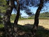 fouilles archéologiques