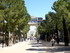 Montpellier contemporain (1)