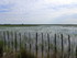 Dans la Camargue gardoise, l'e