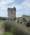 Dans la Camargue gardoise, l'e