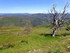 Col du Salidès