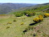 Col du Salidès