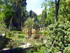 Les jardins de Montpellier (2)