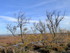 Camargue: paysages