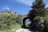 Transhumance en Cévennes (1)