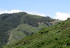 Transhumance en Cévennes (1)