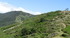 Transhumance en Cévennes (1)