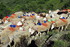 Transhumance en Cévennes (2)