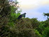 Arrivée à Stewart Island