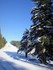 Neige en Lozère