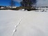 Neige en Lozère