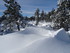 Neige au Mont Lozère