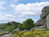 Rochers de Lozère