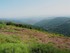 Sur le Mont Lozère