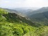 Sur le Mont Lozère