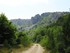 Sur le Mont Lozère