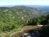 Sur le Mont Lozère