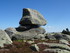 Sur le Mont Lozère