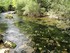 Le moulin de la Foux et la Vis