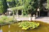 Les jardins de l'Abbaye Saint-