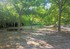 Le bois des Noyers