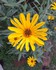 Un petit tour au jardin fin se