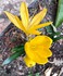 Un petit tour au jardin fin se