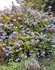 Un petit tour au jardin fin se