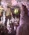 La grotte de la Salamandre