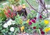 C'est un jardin extraordinaire