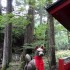 Nikko (3)