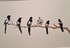 Arles, Festival du Dessin (1)