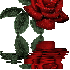 DITES-LE AVEC DES FLEURS...?