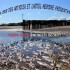 CALAIS : L'HÔTEL MERCURE ET L