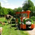 EXPO-TRAINS AU FORUM GAMBETTA 