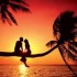 PAR AMOUR