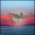 PAPY OR NOT PAPYBLERIOT, THATS