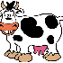 OH LA VACHE, LE PETIT RAMÈNE 