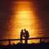 VIVRE SANS AMOUR OU SANS AMITIÉ ?