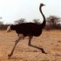 SORTIE FAMILLES COLLINE AUX ANIMAUX DE Z