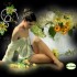 VOUS AVEZ DIT : DES HORMONES FEMELLES DA